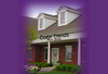Color Trends